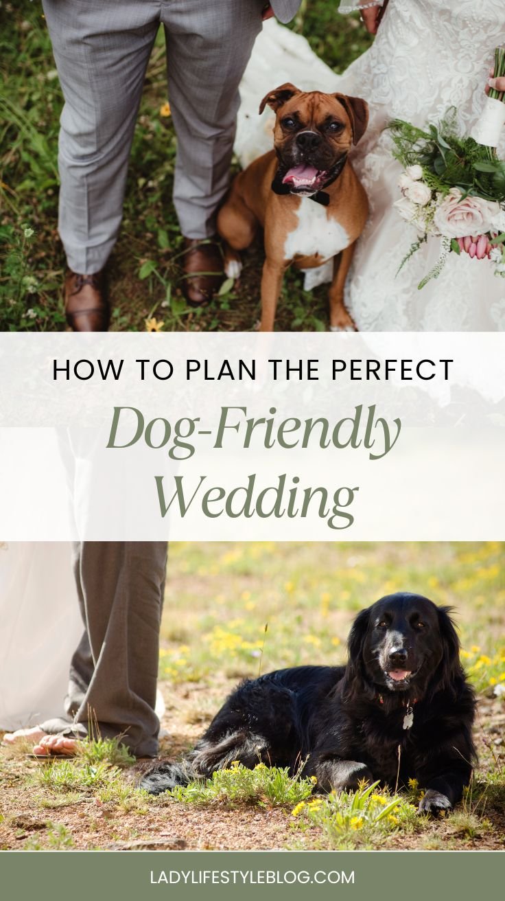 How to Plan Dog-Friendly Wedding